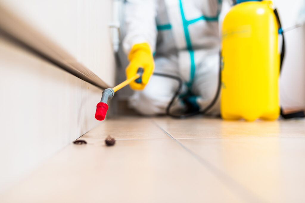 Dickinson Cockroach Experts