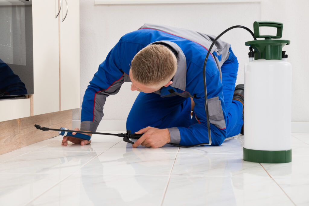 Dickinson Ant Control Xperts